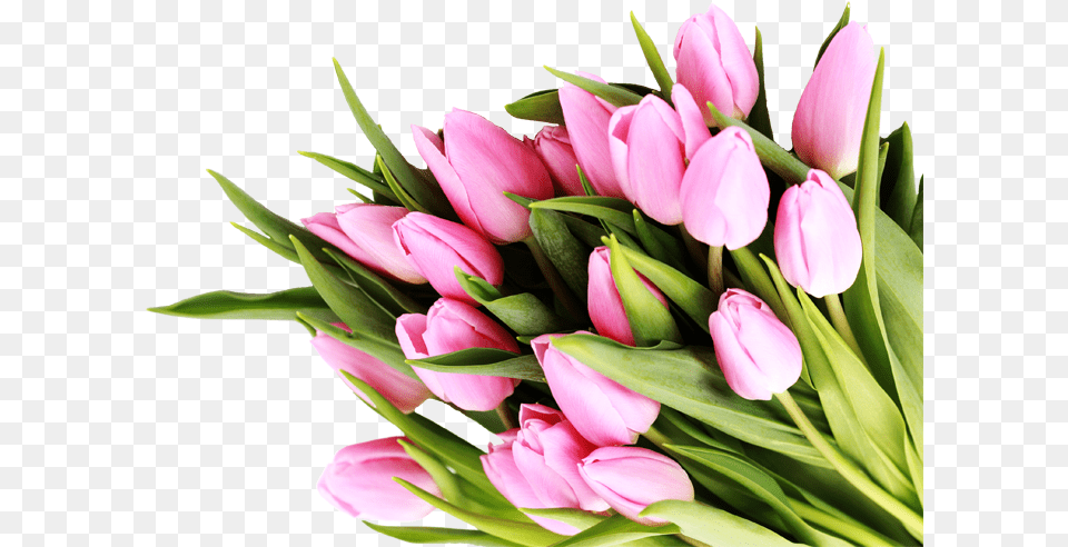 Easter Flowers Bouquet Transparent Goodbye May Welcome June, Flower, Flower Arrangement, Flower Bouquet, Plant Png Image