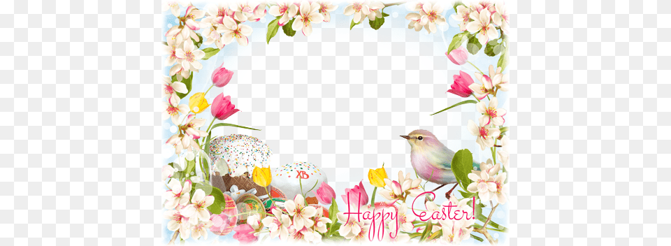 Easter Frames Image Background Transparent Easter Frame, Greeting Card, Person, People, Envelope Png