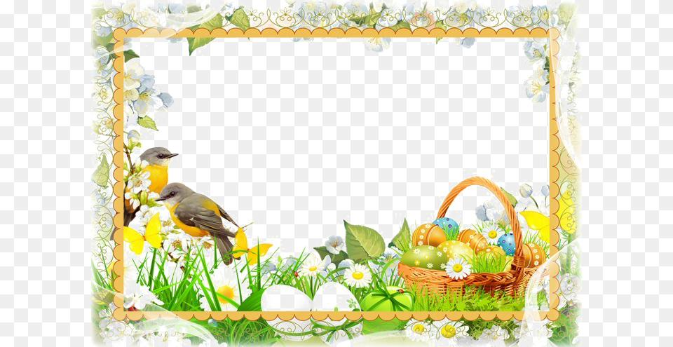 Easter Frames Image Frame Photo Psd, Animal, Bird, People, Person Free Png