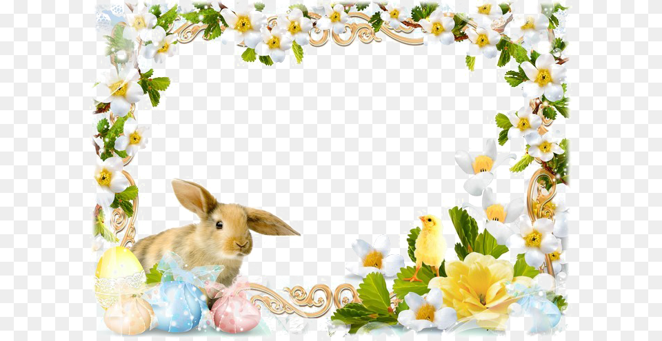 Easter Frames Image, Animal, Mammal, Rabbit, Bird Free Transparent Png