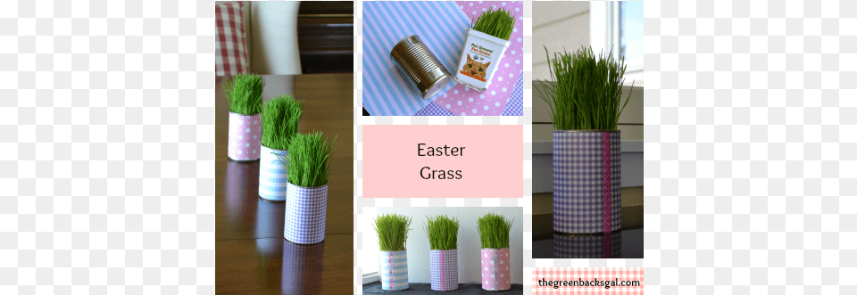Easter Grass Easter, Jar, Plant, Planter, Potted Plant Png Image