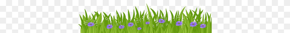 Easter Grass Flowers Transparent Background Arts, Flower, Iris, Purple, Plant Free Png