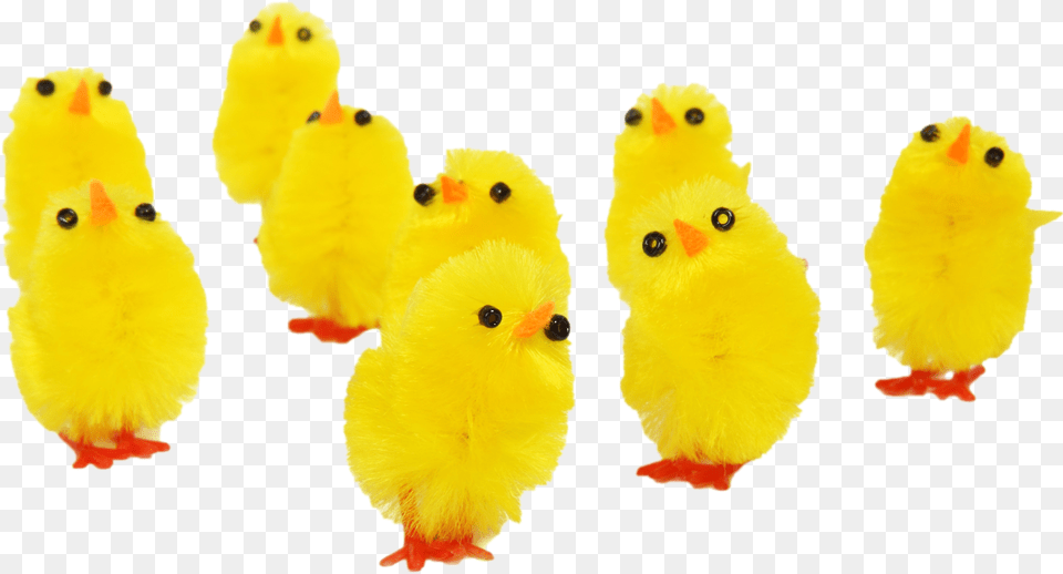 Easter Images And Clipart Pictures Happy Birthday Baby Chicks, Toy, Animal, Bird, Fowl Free Png