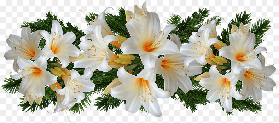 Easter Lilies, Flower, Plant, Flower Arrangement, Flower Bouquet Free Png Download
