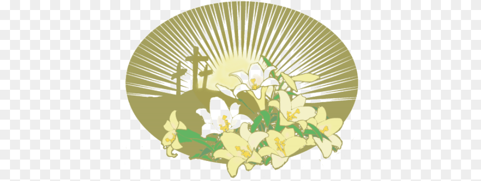 Easter Lilies, Plant, Anther, Art, Graphics Png Image