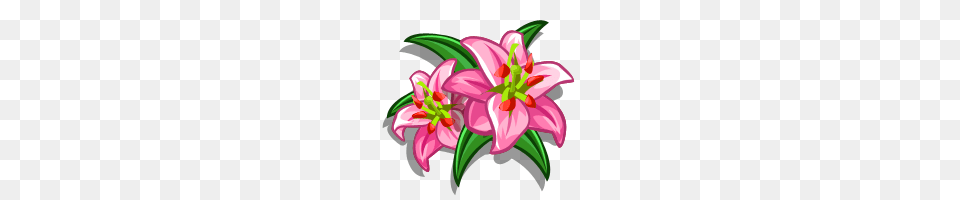 Easter Lily, Flower, Plant, Device, Grass Png Image