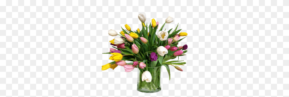 Easter Lily Plant, Flower, Flower Arrangement, Flower Bouquet, Pottery Free Png