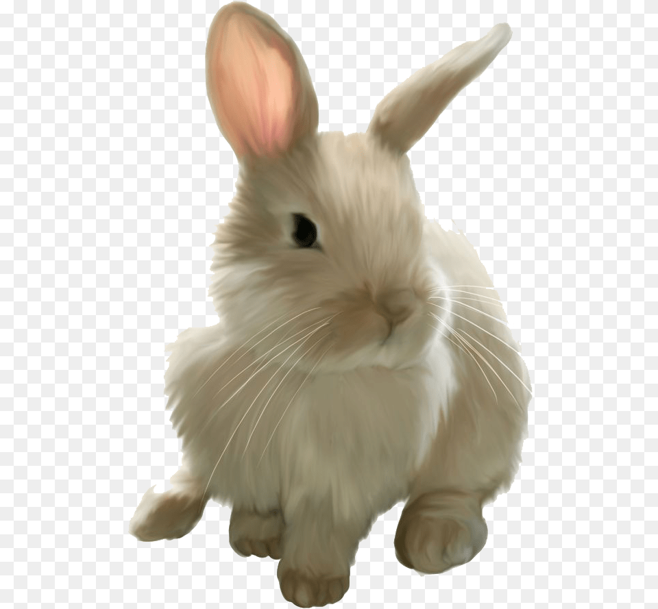 Easter Rabbit Image Bunny Clipart Background, Animal, Mammal, Bird, Angora Free Png Download