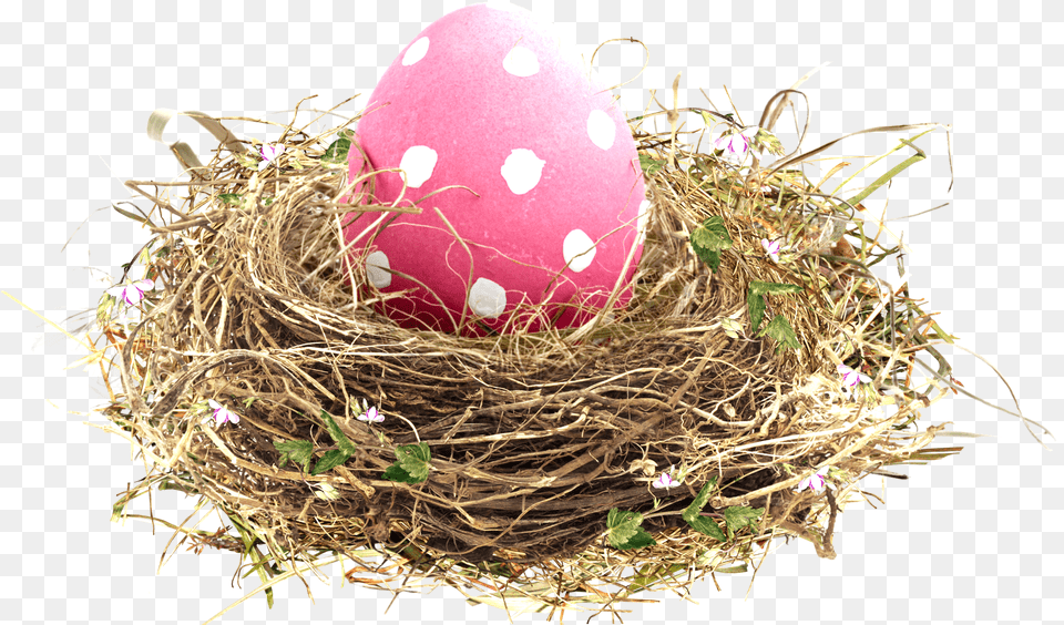 Easter Transprent Download Egg Birds Nest Full Easter Nest, Plant, Food Free Transparent Png
