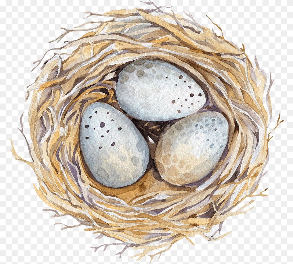 Easter Watercolor Birds Nest, Person, Egg, Food Png