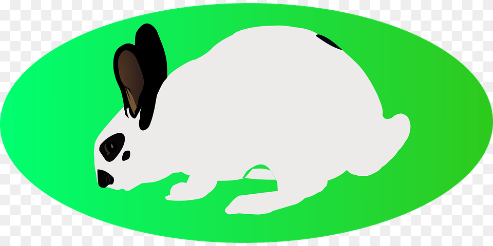 Easter White Rabbit Green Ellipse Long Eared Cartoon, Animal, Mammal Free Png Download