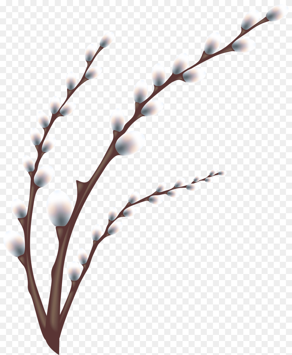 Easter Willow Tree Branch Transparent Clip Art Image, Flower, Plant, Bow, Weapon Free Png Download