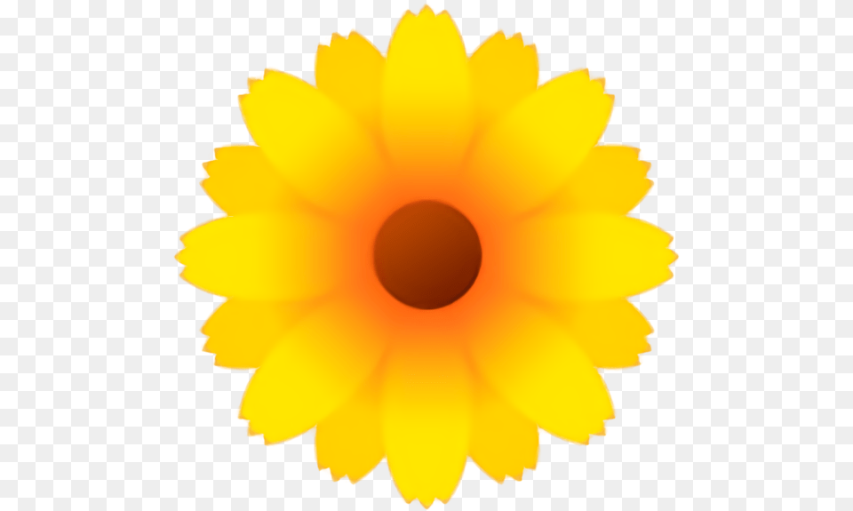 Easter Yellow Sunflower Flower For Royal Cake Sweets Preparation, Daisy, Petal, Plant, Anemone Free Png Download