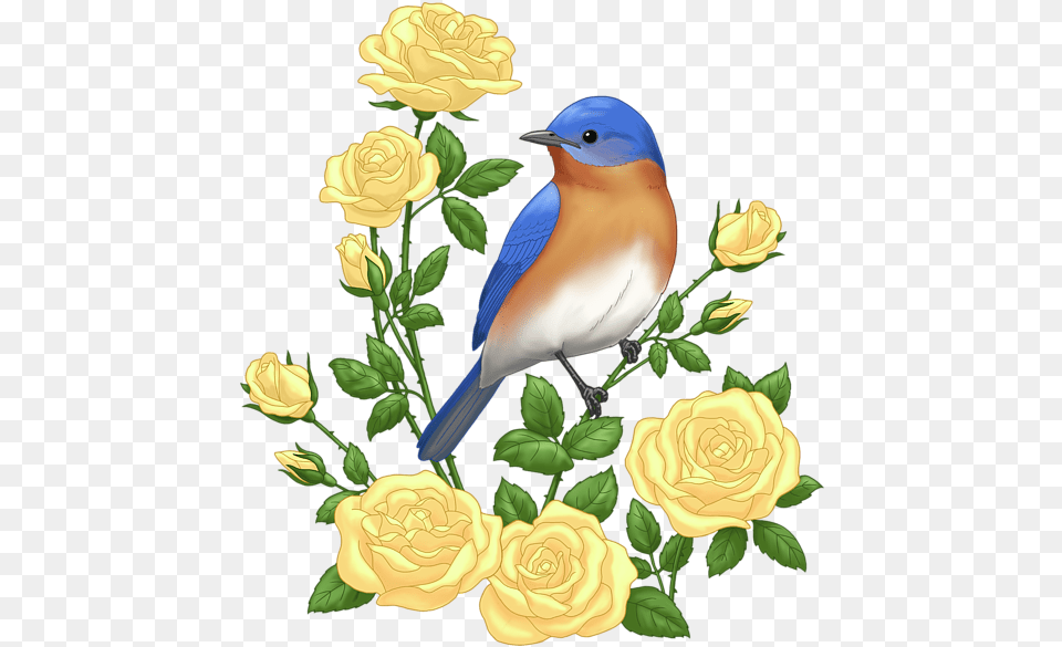 Eastern Bluebird And Yellow Roses Greeting Card Eastern Bluebird, Animal, Bird, Flower, Plant Free Png