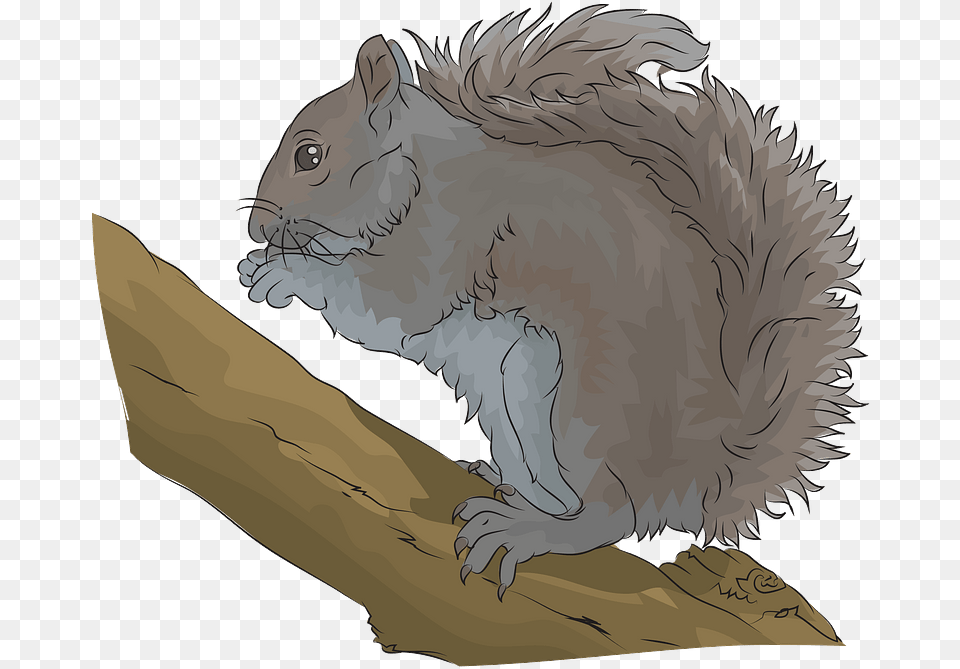 Eastern Grey Squirrel Clipart, Animal, Mammal, Rodent, Dinosaur Free Png