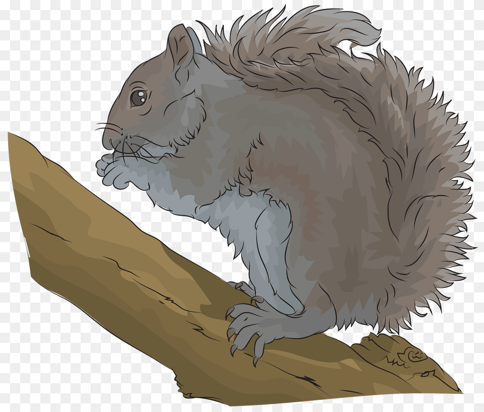 Eastern Grey Squirrel Clipart, Animal, Mammal, Rodent, Fish Png Image