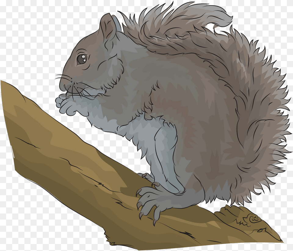 Eastern Grey Squirrel Clipart Fox Squirrel, Animal, Mammal, Rodent Free Transparent Png