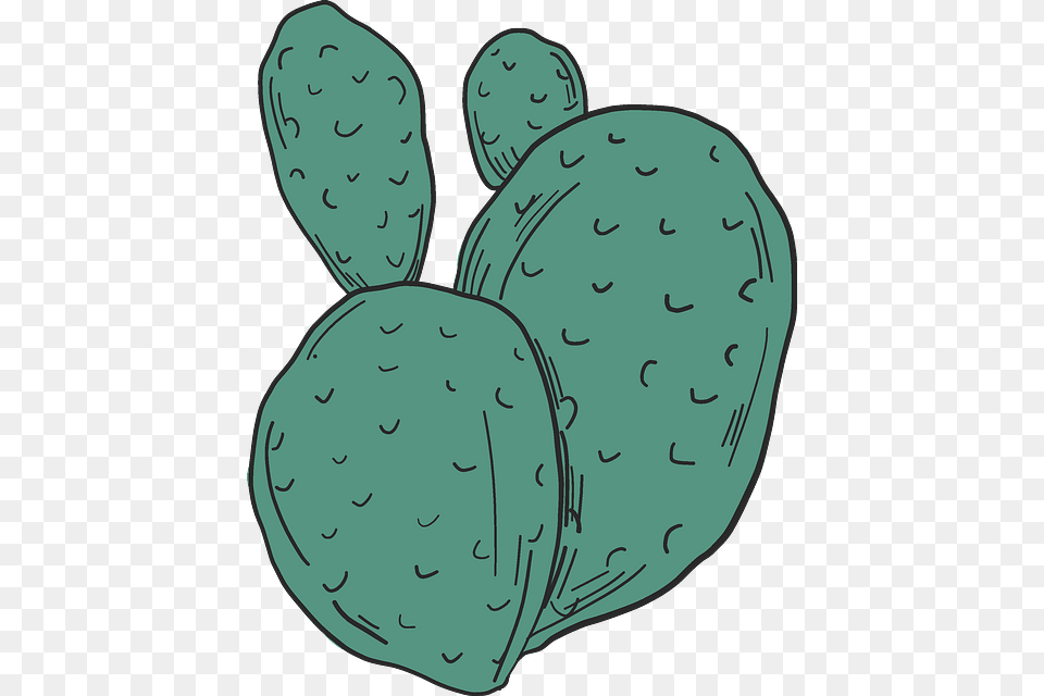 Eastern Prickly Pear, Cactus, Plant, Person, Face Png Image
