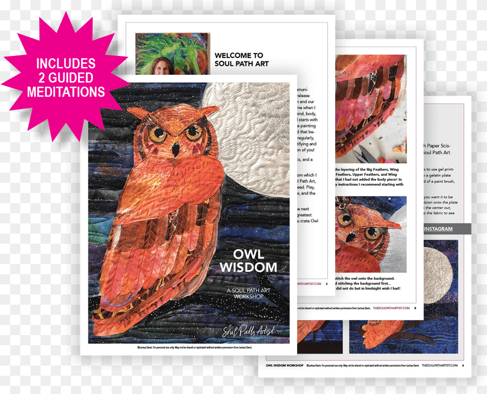 Eastern Screech Owl, Advertisement, Poster, Animal, Bird Png