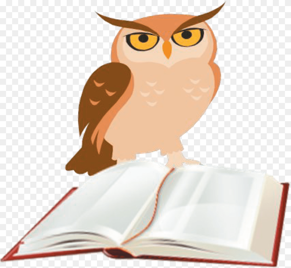 Eastern Screech Owl, Book, Publication, Animal, Bird Png