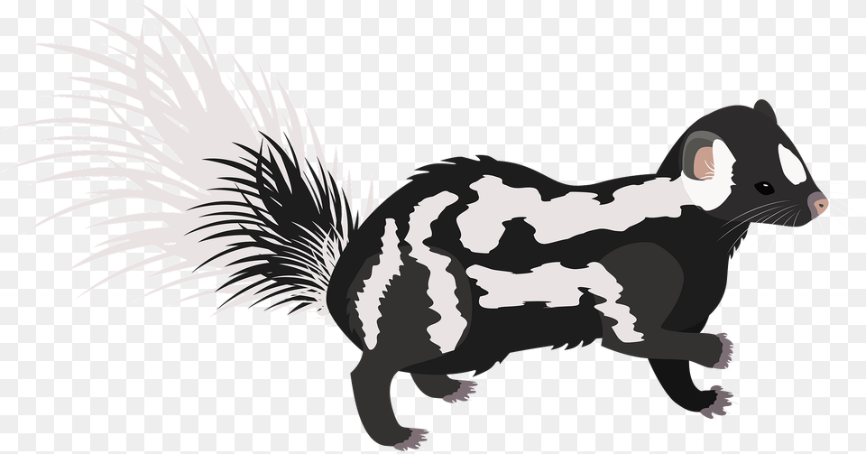 Eastern Spotted Skunk Clipart, Animal, Mammal, Wildlife, Rat Free Transparent Png