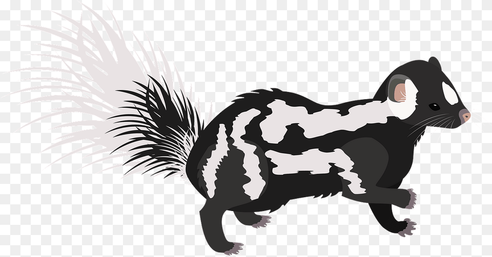Eastern Spotted Skunk Clipart Illustration, Animal, Mammal, Wildlife, Baby Free Png Download