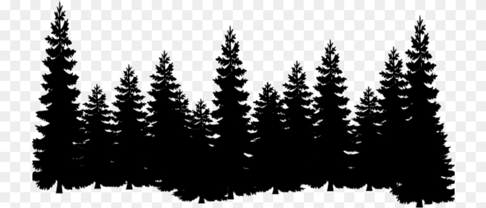 Eastern White Pine Tree Clip Art Cedar Pine Tree Silhouette, Gray Png Image
