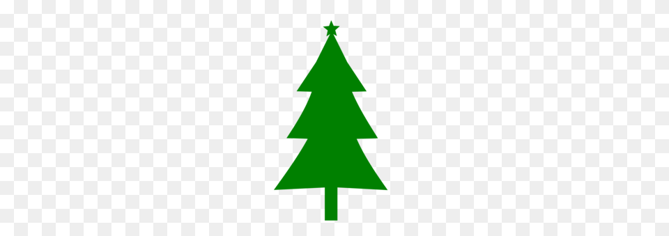 Eastern White Pine Tree Document Evergreen, Christmas, Christmas Decorations, Festival, Christmas Tree Free Transparent Png