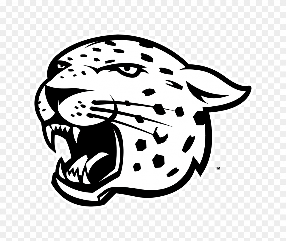 Easy Bear Face Drawings Painting Funny Drawing Easy Easy Cheetah Head Drawing, Stencil, Baby, Person Free Transparent Png