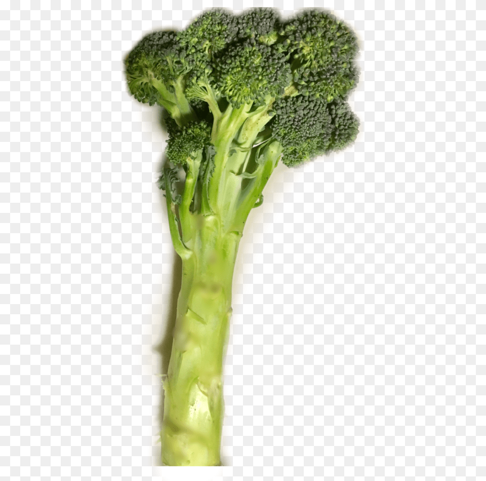 Easy Broccoli Celtuce, Food, Plant, Produce, Vegetable Png