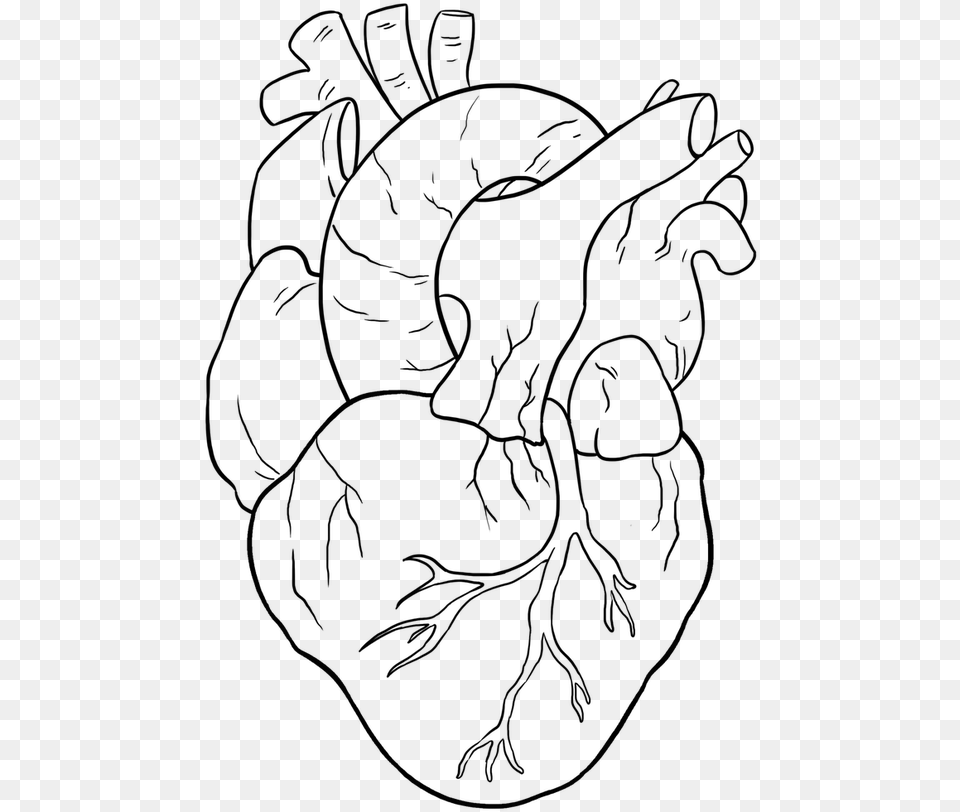 Easy Drawing Guides On Twitter Are You Ready To Draw Real Easy Heart Drawings, Gray Png Image