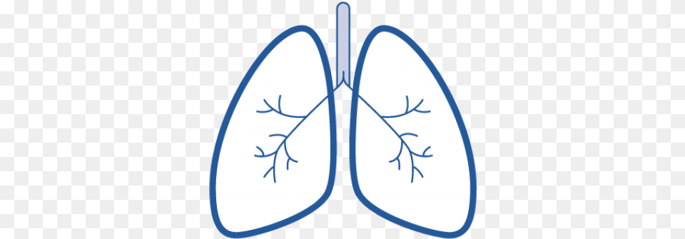 Easy Drawings Of Lungs, Leaf, Plant Free Png