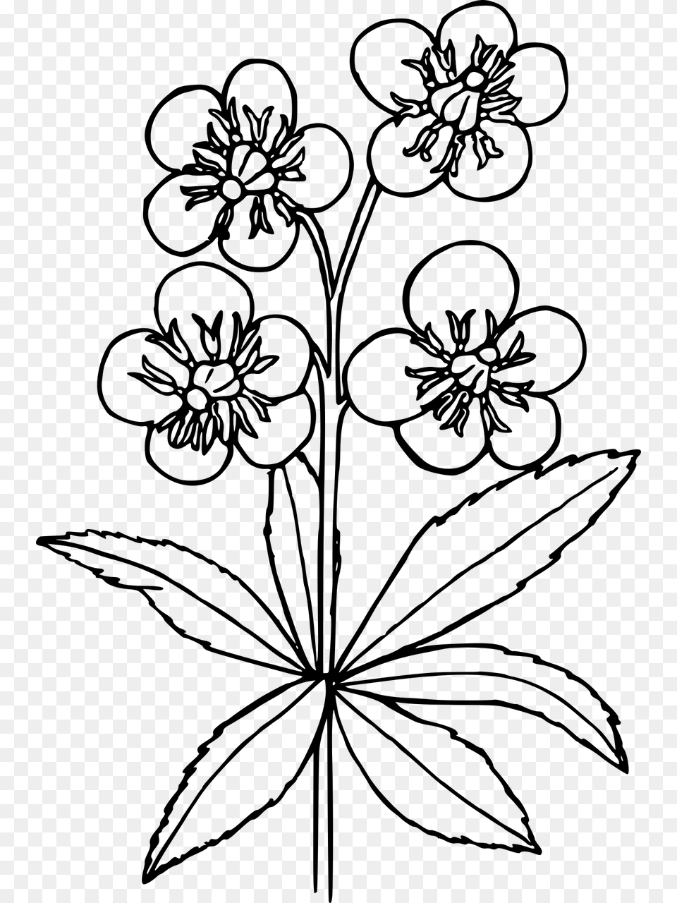 Easy Drawings Of Wild Flowers, Gray Png Image