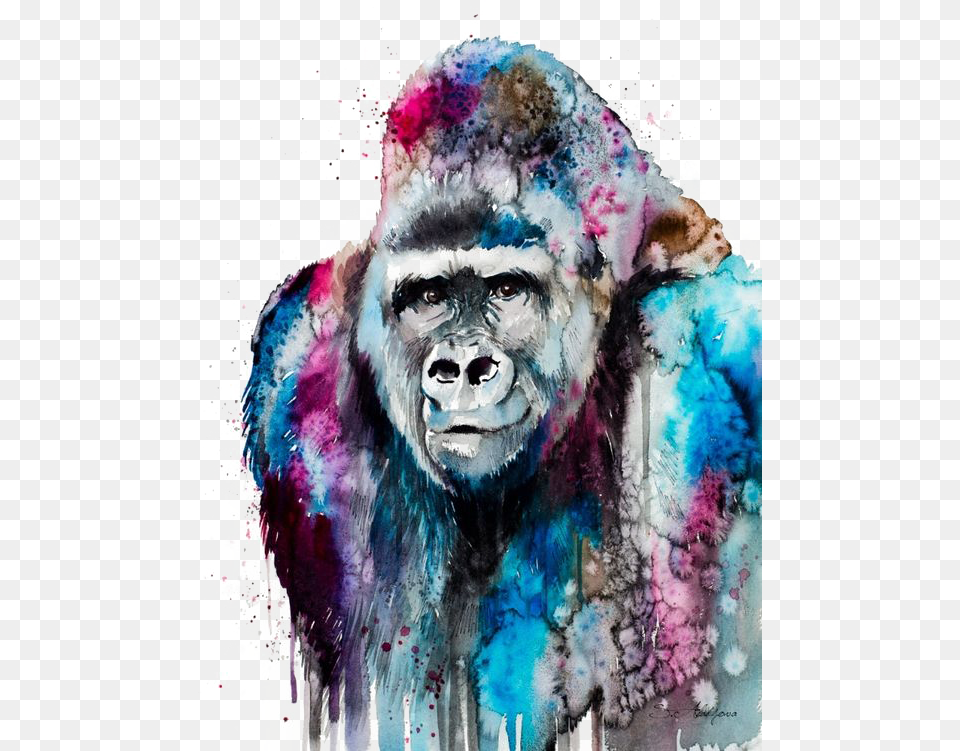Easy Gorilla Painting, Animal, Ape, Mammal, Wildlife Png Image