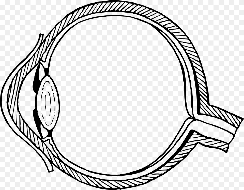 Easy Structure Of Eye, Gray Png Image