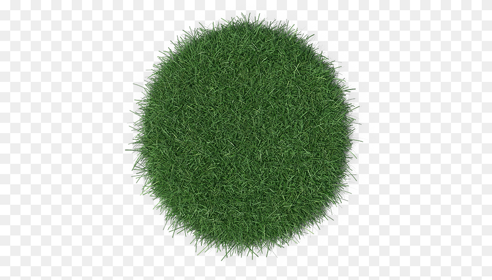 Easy To Install Yourself Chlorophyta, Grass, Moss, Plant, Sphere Png Image