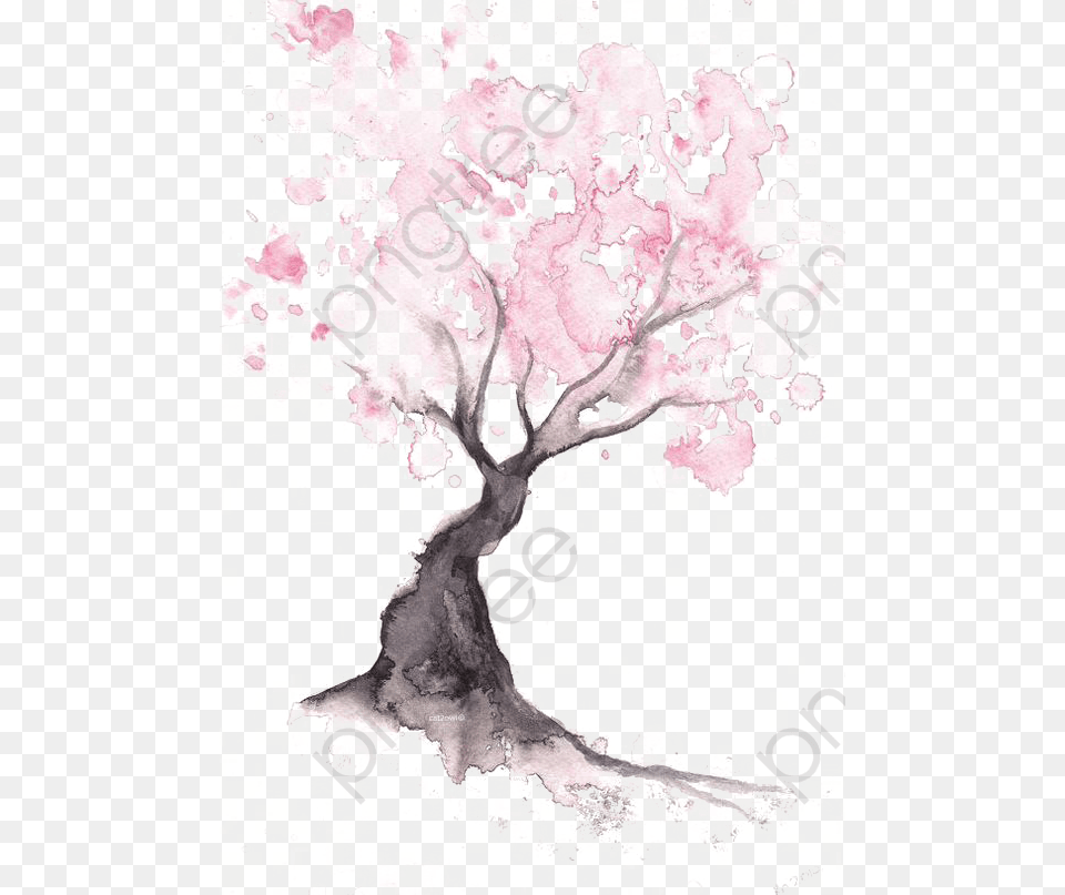 Easy Watercolor Cherry Blossom Tree, Flower, Plant, Art, Painting Free Png