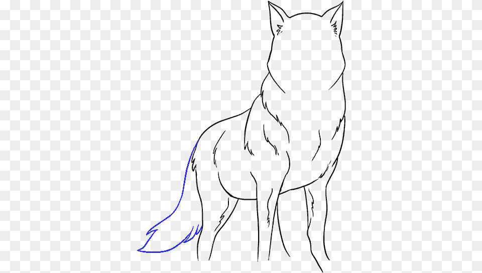 Easy Wolf Drawing, Nature, Night, Outdoors, Light Png