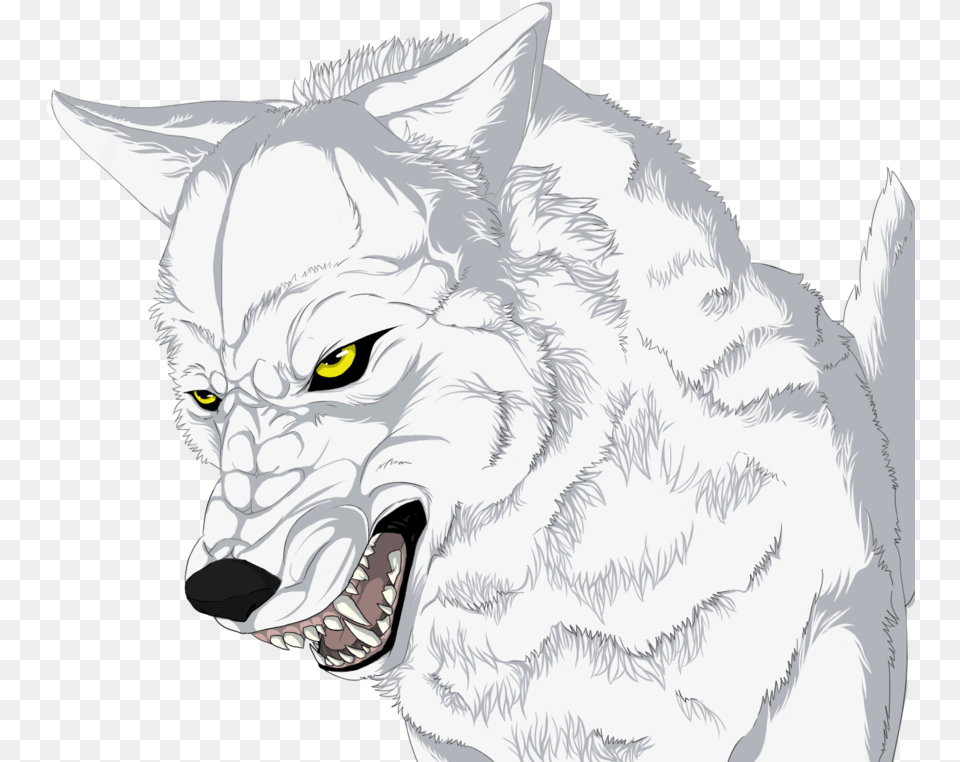 Easy Wolf Drawings White Wolf Angry, Animal, Canine, Dog, Mammal Free Transparent Png