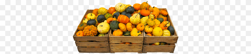 Eat Food Harvest Thanksgiving Mandarin Orange, Box, Crate, Produce, Gourd Free Png