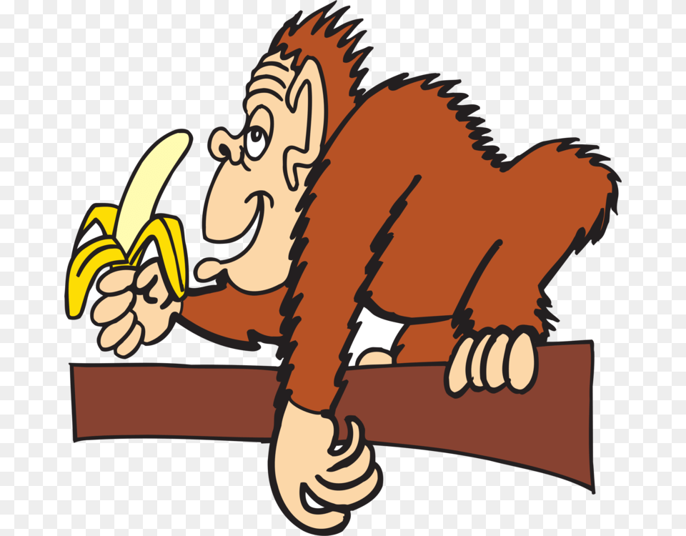 Eating Ape Banana Chimpanzee Monkey, Produce, Food, Fruit, Plant Png