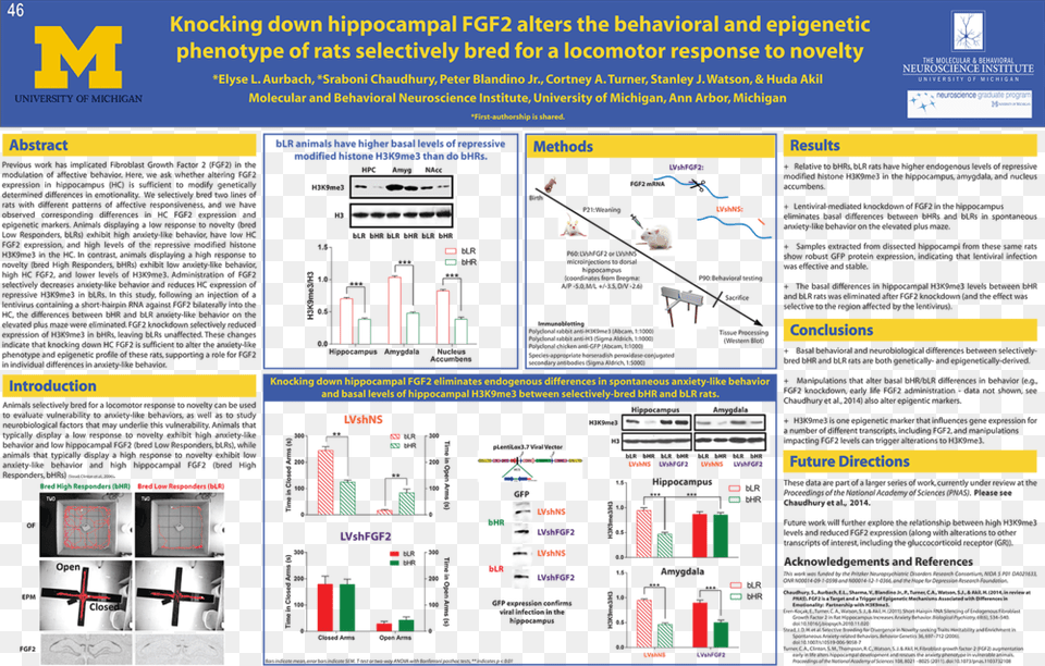 Eaurbach Sas2014 Final University Of Michigan, Advertisement, File, Poster, Webpage Free Png Download