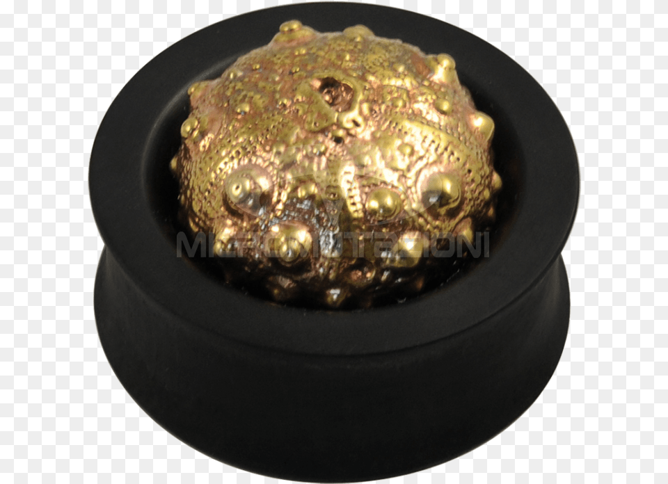 Ebony Plug With Brass Exoskeleton Sea Urchin Ear Brass, Accessories, Photography, Jewelry, Gemstone Free Png