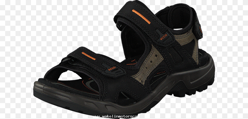 Ecco Offroad M Black Mole Black 01 Mens Leather Sandal, Clothing, Footwear, Shoe Free Png