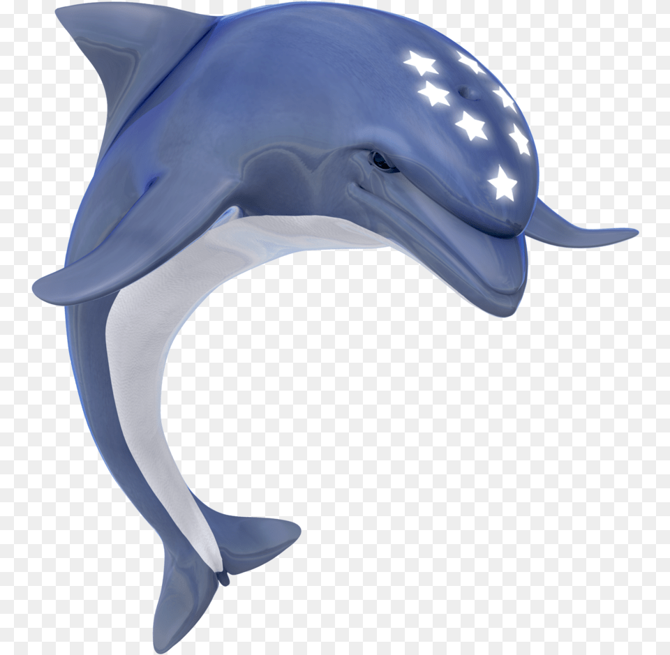 Ecco The Dolphin, Animal, Mammal, Sea Life, Fish Png