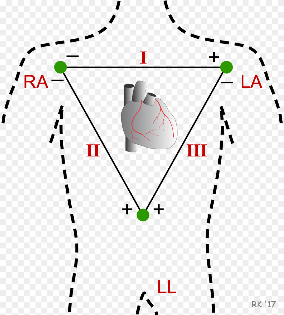 Ecg Einthoven Triangle Ecg Leads, Light Free Transparent Png