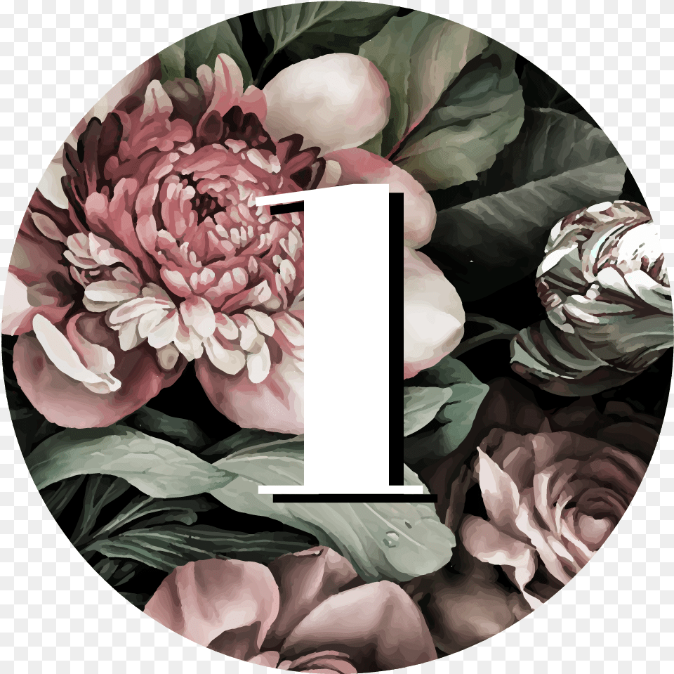 Echeveria, Dahlia, Flower, Plant, Art Free Png Download