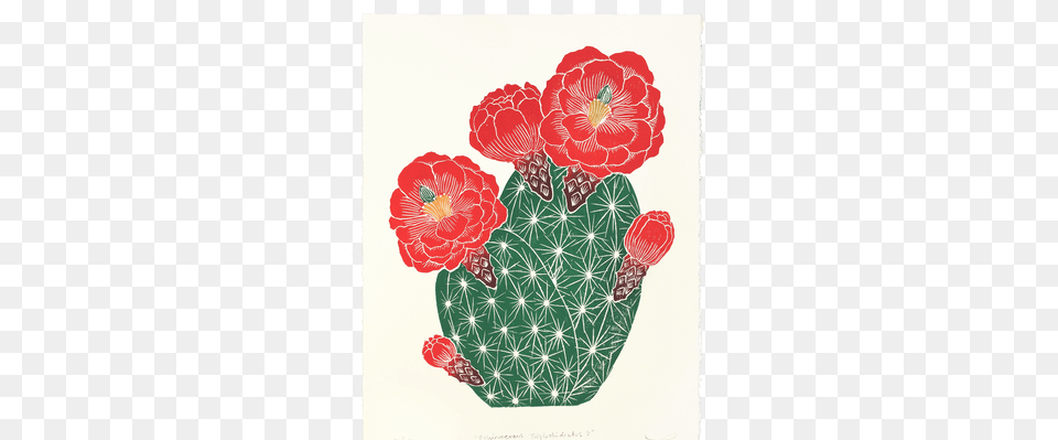 Echinocereus Triglochidiatus Lili Arnold Studios, Cactus, Plant, Flower, Rose Free Transparent Png