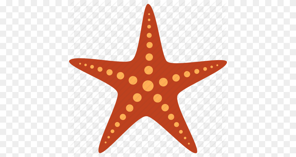 Echinoderm Fish Marine Red Sea Star Starfish Icon, Animal, Sea Life, Invertebrate, Shark Png