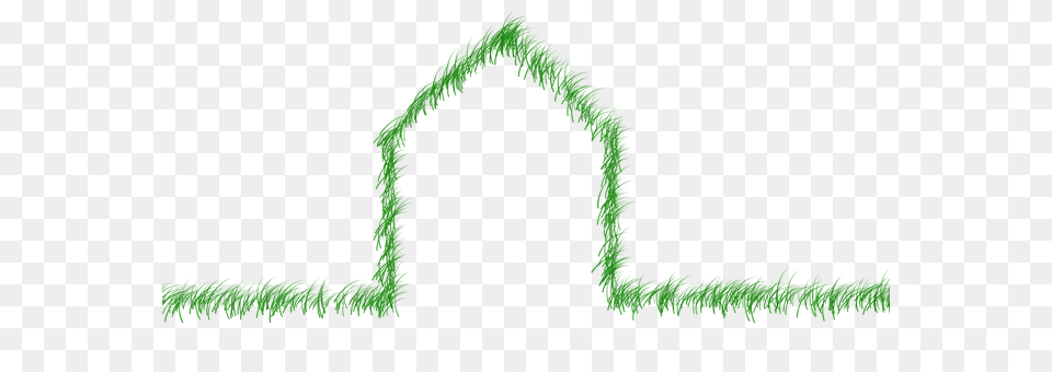 Echo Grass, Green, Plant, Arch Free Png